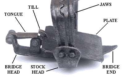 Diagram of a gin trap as seen from the jaw end