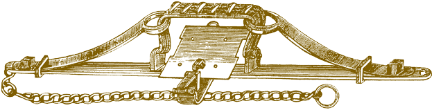 An illustration of a lion trap