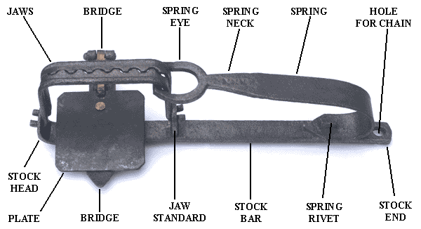 A diagram of a typical gin trap, showing the names and arrangement of the component parts