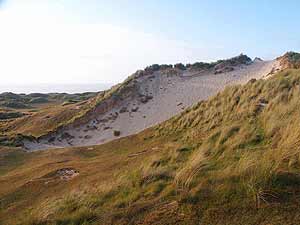 A large sand blowout on a sand dune, Upton Towans