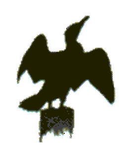 Webmaster LU9DPD