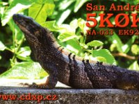 5K0K  - CW - SSB Year: 2019 Band: 20m Specifics: IOTA NA-033 San Andres island