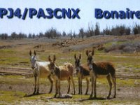 PJ4/PA3CNX  - SSB Year: 2007 Band: 17m Specifics: IOTA SA-006 Bonaire island