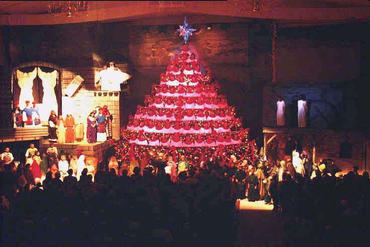 1998 Living Christmas Tree and set