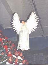 Return flight of angel
