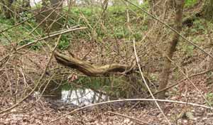 Possible location of a pumping station