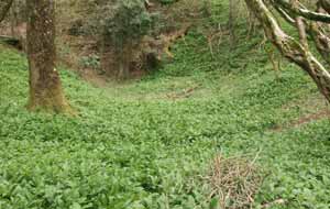 The location of a building or ore dressing foor
