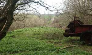 Looking out onto the spoil heaps