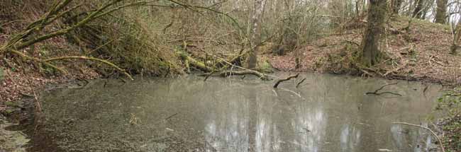 A photo of the quarry