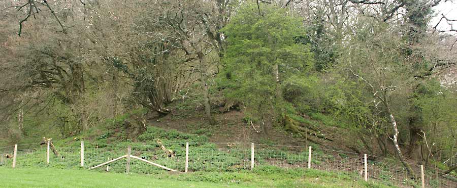 Spoil heaps as seen from the adjacent field.