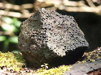 vesicular basalt