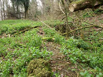 Low grade manganese ore