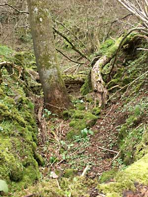 The original entrance to one of the upper adits, long since collapsed
