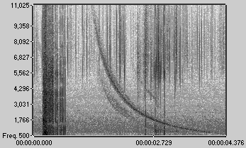 A sonograph displaying a whistler graphically