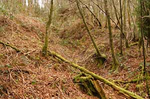 Remains of a collapsed whetstone mne tunnel