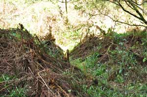 Possible adit entrance, but unconfirmed