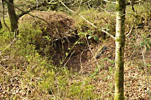 An area of sunken ground caused by a mine collapse