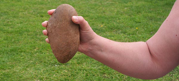 Zombie Apocalypse Protectorate - Protective Pebble