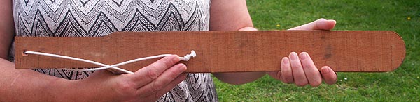 Zombie Apocalypse Protectorate - Whacking Plank Deluxe
