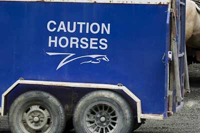 caution horses sign.