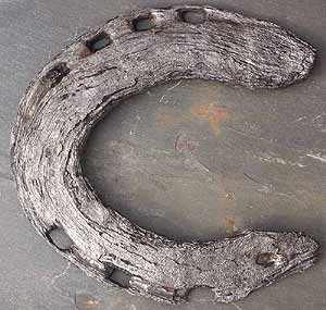 A badly corroded horseshoe after treatment with electrolysis