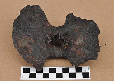 Basing hammer head, underside