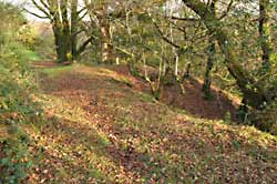 small spoil heap site 'C'
