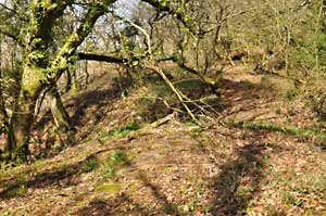 Looking across the sandbeds, now overgrown