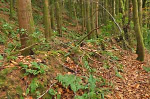 showing an old boundary bank