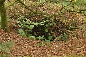 An area of sunken ground caused by a mine collapse