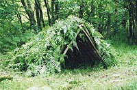 A survival hut