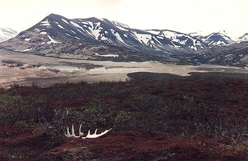 alaska katmai volcanic famed smokes incidence named region activity valley national park