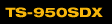 TS-950SDX1.gif (681 bytes)