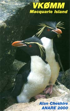 Macquarie Island.jpg (23706 Byte)