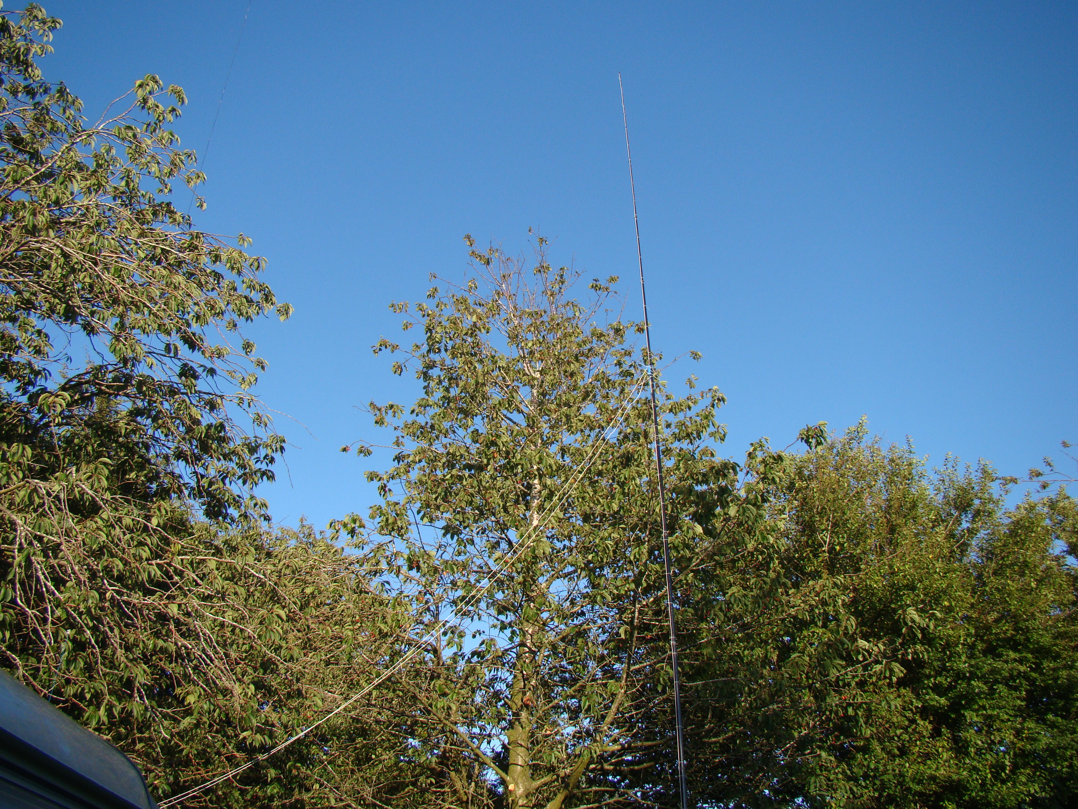 DSC05319
