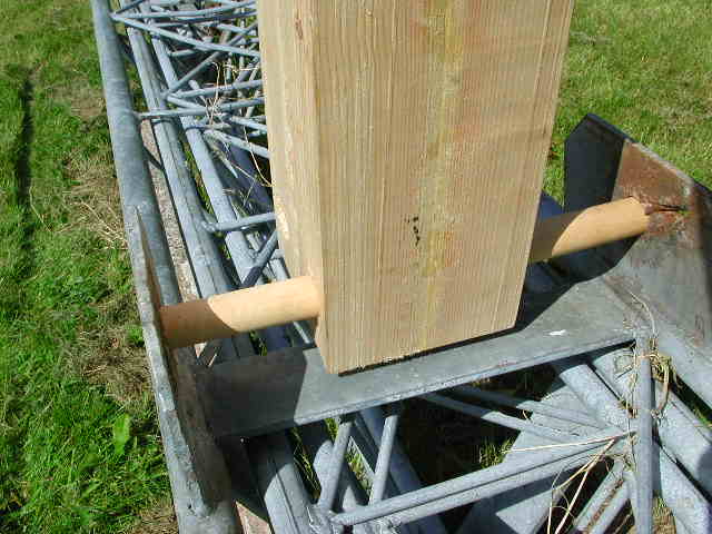 stem