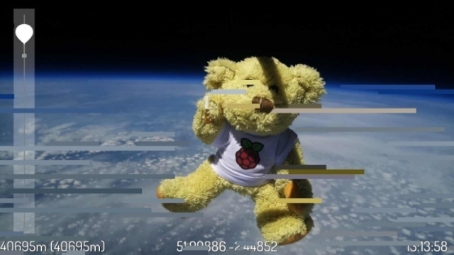 Babbage the bear on the edge of space