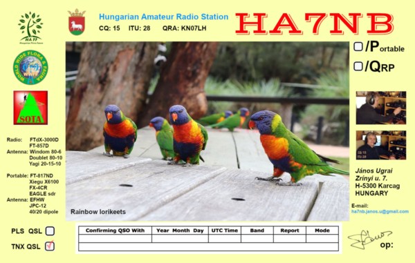HA7NB_rainbow-lorikeets_tnx_qsl.jpg