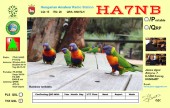 HA7NB_rainbow-lorikeets_tnx_qsl.jpg
