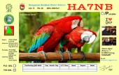 HA7NB_voros-ara-papagaly_tnx_qsl.jpg