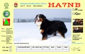HA7NB_Berni-pasztor_hoban_pls_qsl.jpg