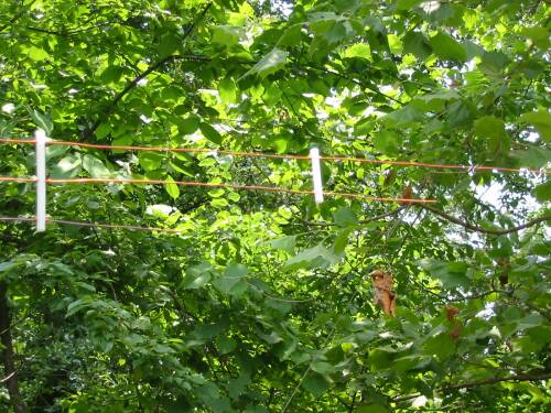 10 & 12 Meter Ends