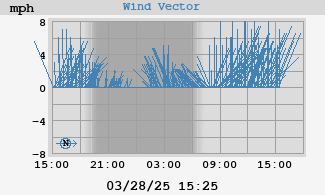 Wind Vector