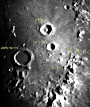 aristillus05.jpg (29576 bytes)