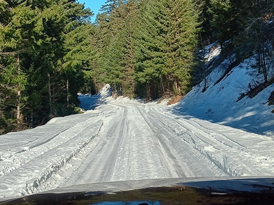 Road to Taneum Cabin