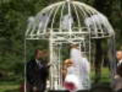 db_wedding2114