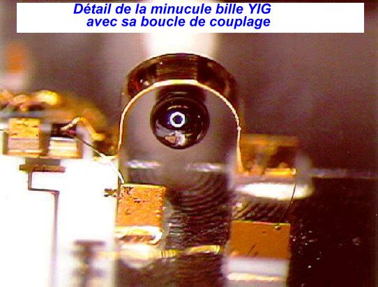 macro