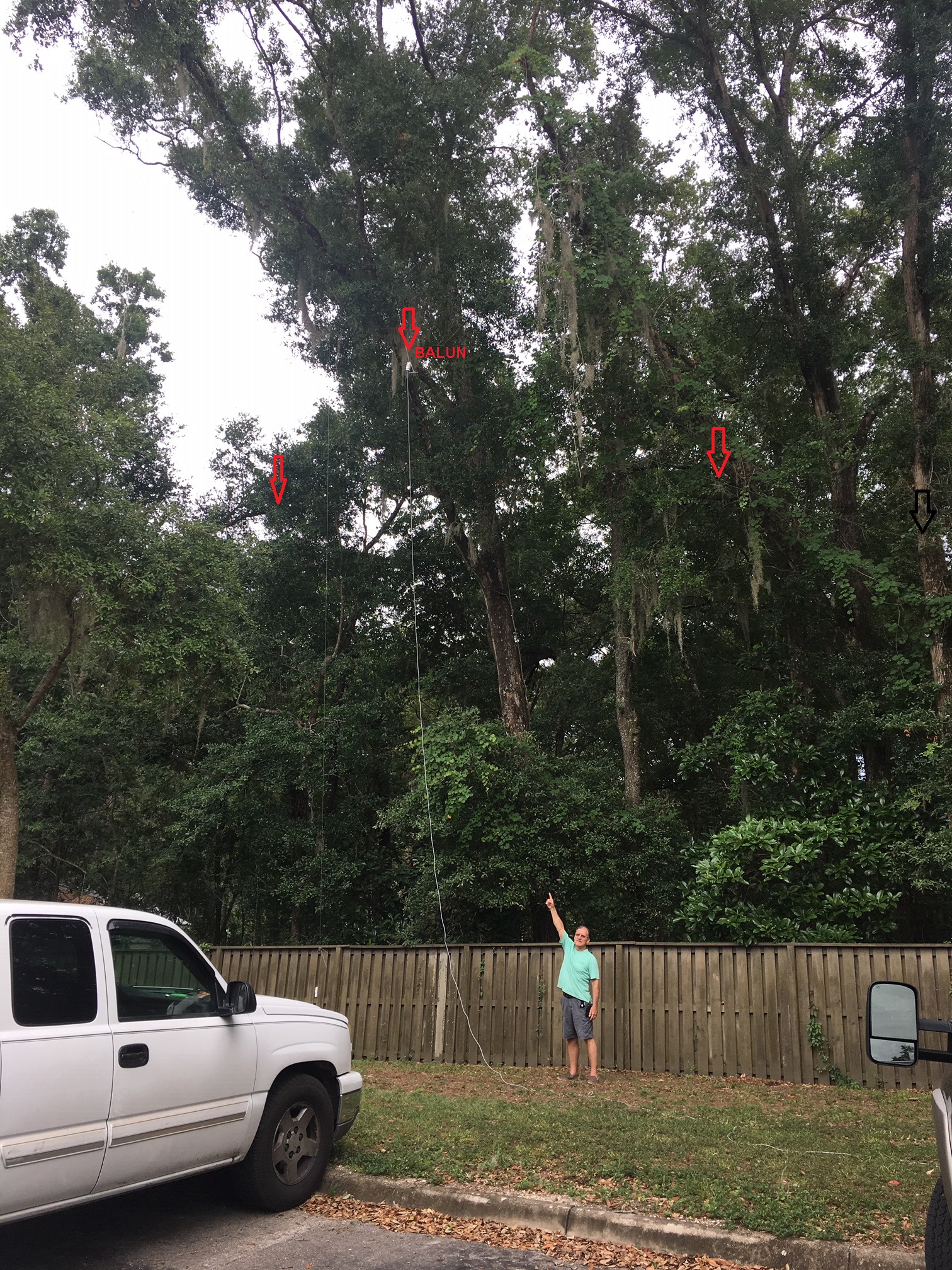 Guess What Antenna?