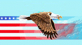 eagle.gif (18604 bytes)