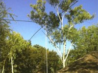 XT26DJ | XT2FCJ  -  CW | CW Year: 2013 Band: 10m | 10, 15m